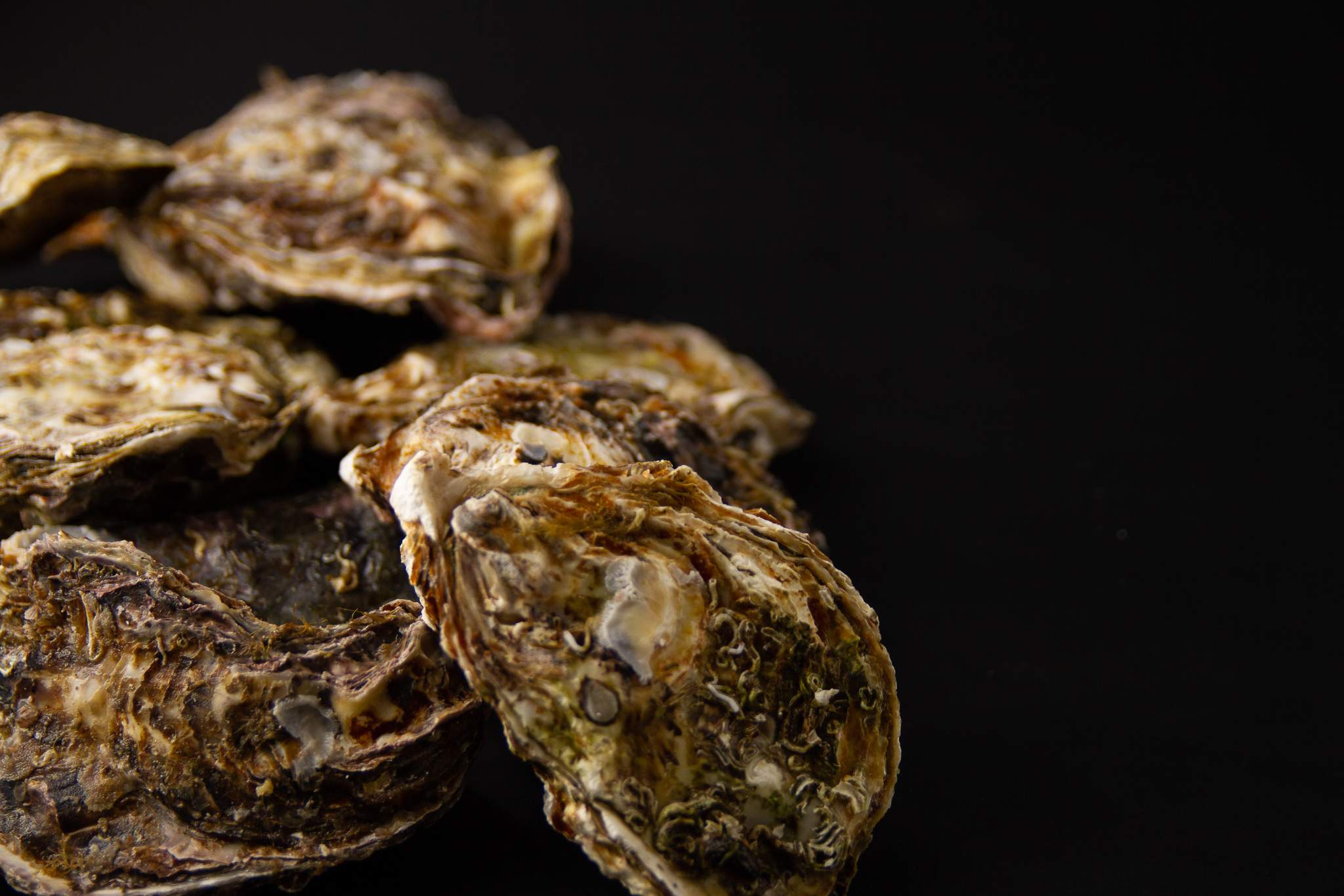 牡蠣の商品写真3