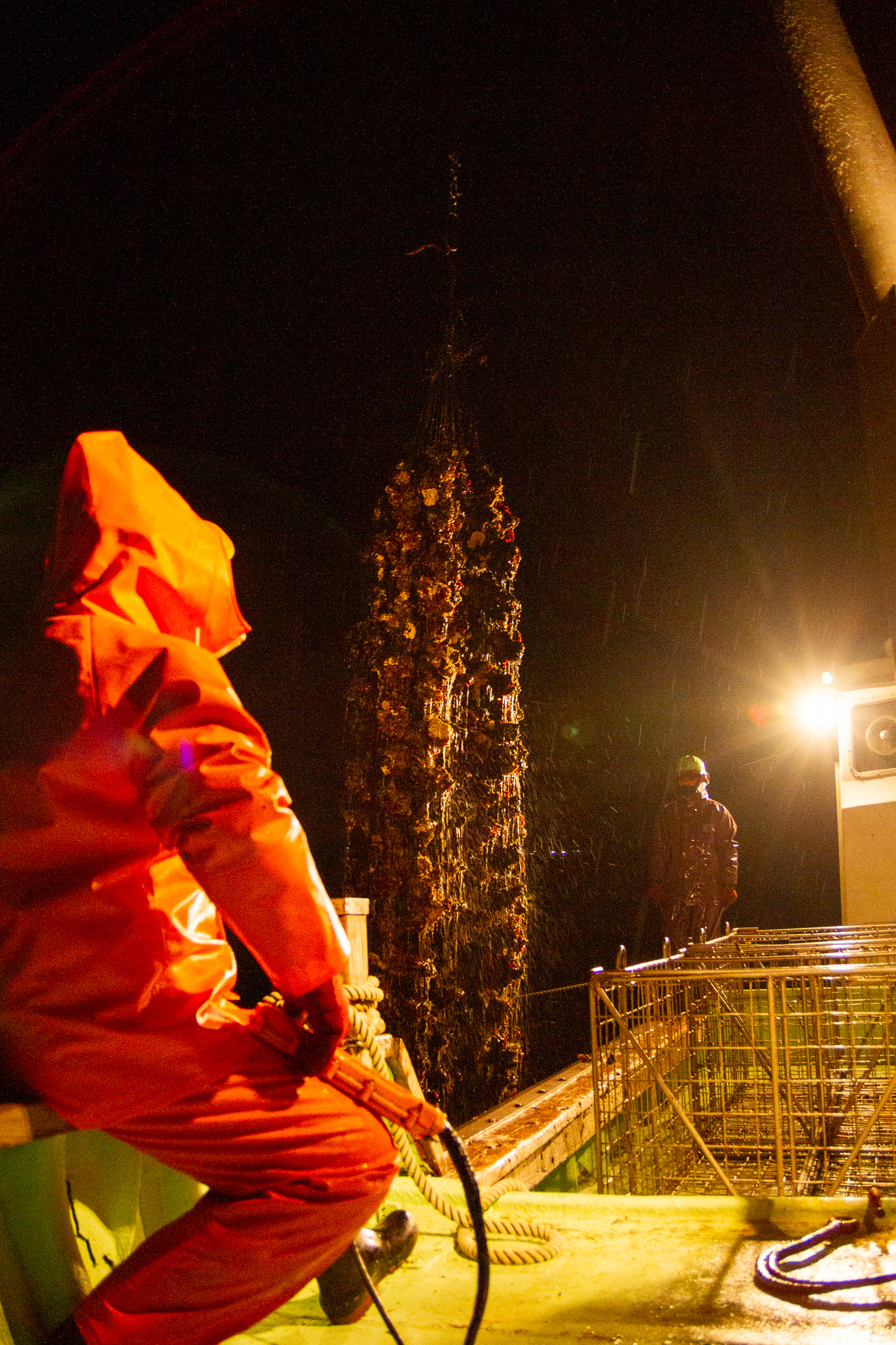 早朝の港。収穫の活気が始まりつつある様子。