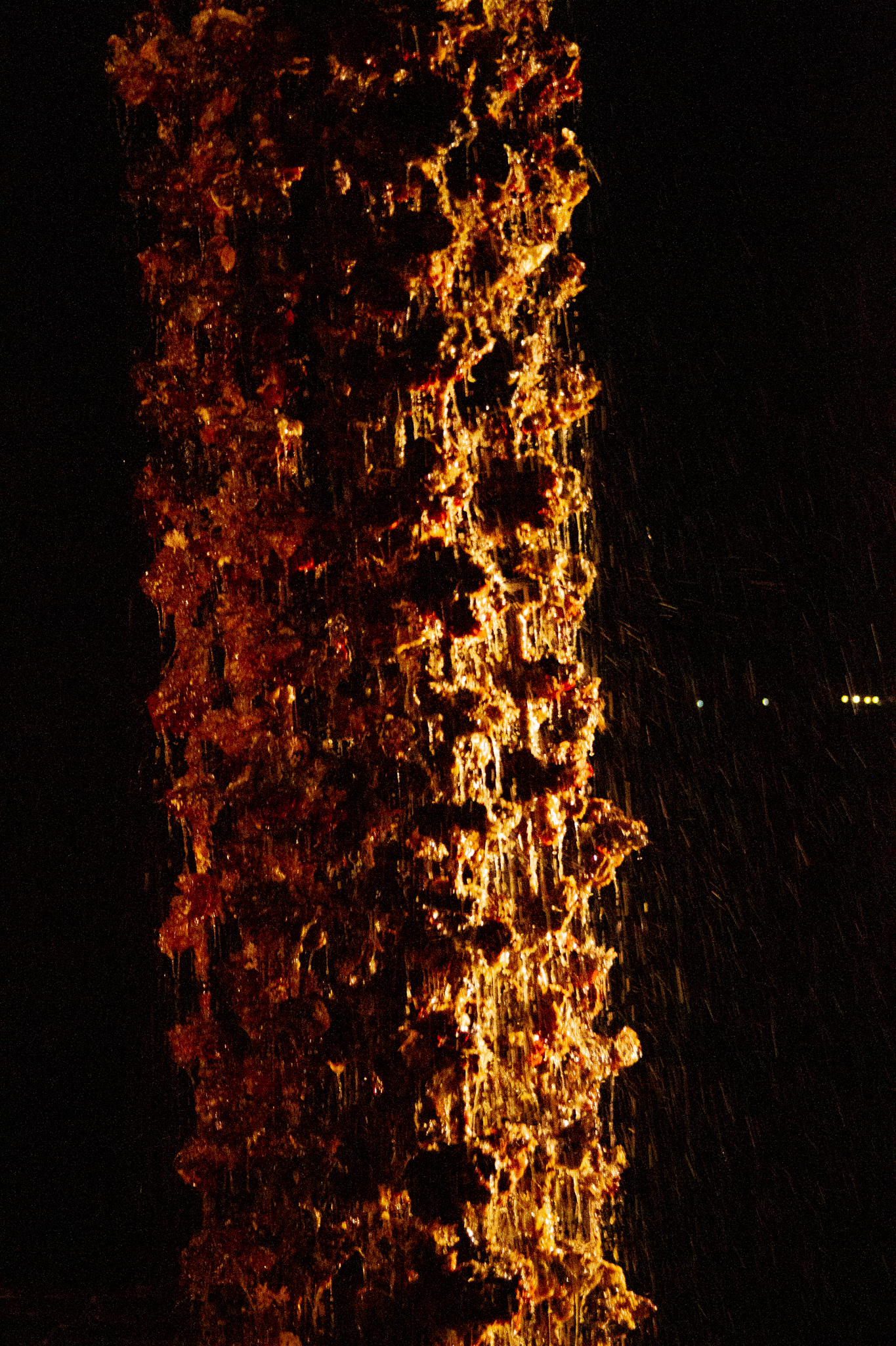 広島県牡蠣収穫風景